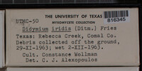 Image Associated With the Occurence